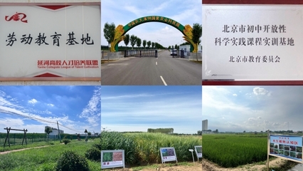 中國(guó)農(nóng)大涿州農(nóng)業(yè)科技園區(qū)入選全國(guó)科普教育基地，助力農(nóng)業(yè)科學(xué)新發(fā)展
